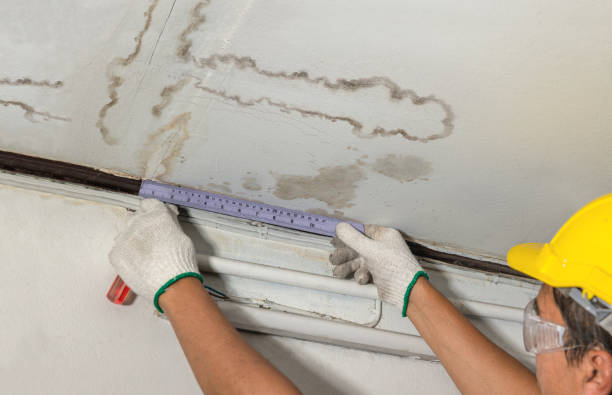 Reliable Water Damage Repair contractor in Shenandoah, VA by Aqua Guard Water Damage